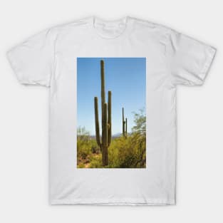 Weavers Needle T-Shirt